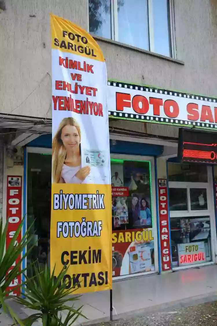 pasaport-fotografi-olta-bayragi